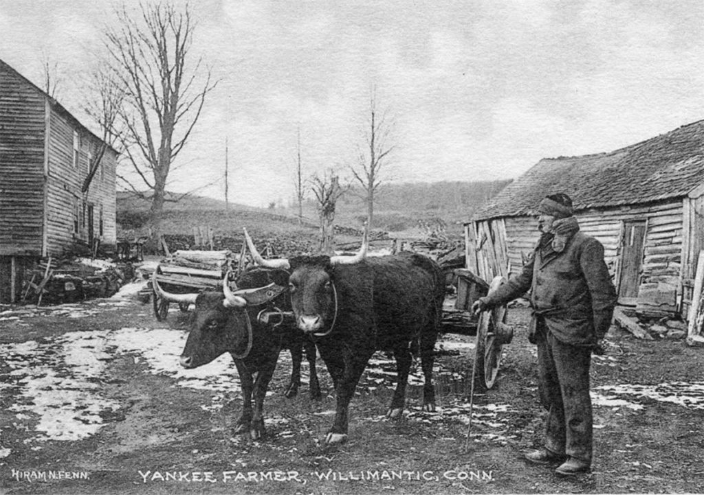 Yankee Farmer