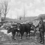 Yankee Farmer postcard by Hiram Fenn, c. 1900